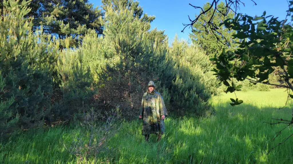 image showing the author wearing the USGI military surplus poncho with a pine tree background.