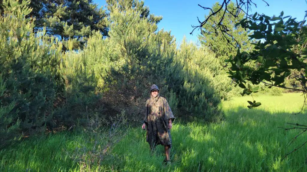 Image of author wearing the Helikon Tex Poncho with a Polish Woodland camo pattern against pine trees.  